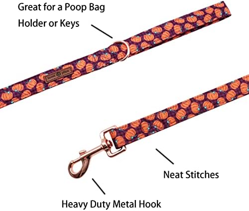 Lionet Paws Dog Leash,Handmade Dog Training Leash Pet Supply