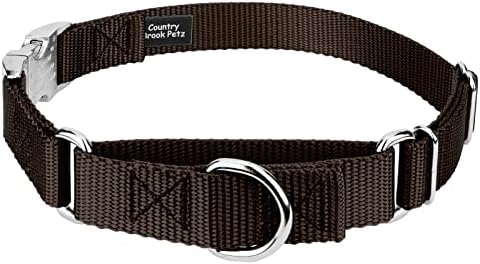 Country Brook Petz - Martingale Dog Collar - Heavy Duty Nylon Adjustable Martingale Dog Collar with Metal Buckle for Small Medium Large Breeds - 30+ Color Options (1 Inch, Extra Large, Brown)