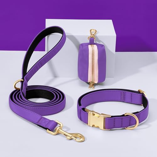 Didog Soft Padded Dog Collar for Large Dogs, Purple, L Neck 16-22"