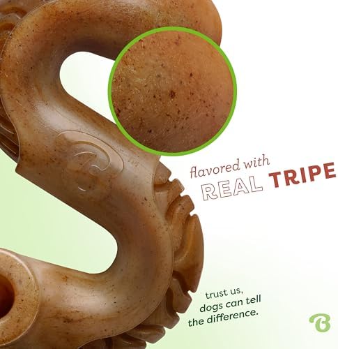 Benebone Tripe Bone Durable Dog Chew Toy for Aggressive Chewers, Medium