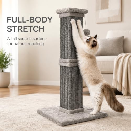 Vertical Cat Scratching Post for Indoor Cats, Sisal Scratch Tower with Soft Plush Base & Dangling Pom Ball, 32'' Tall Cat Scratcher Column, Furniture Protection, Full Grey