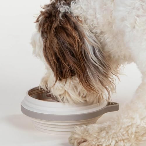 Cleverpup Nomad Large Collapsible Travel Dog Bowl - 4 Cup, Sand Silicone