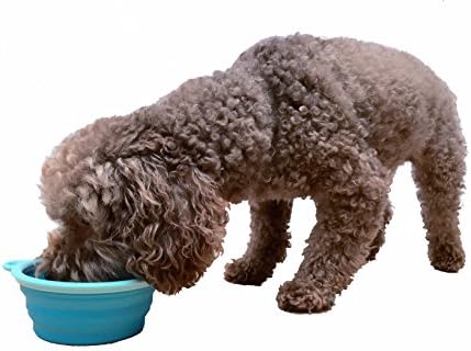 Prima Pet Expandable/ Collapsible Silicone Food & Water Travel Bowl with Clip for Small & Medium Dog and Cat, Size: 1.5 Cups (5.1 Inch Diameter Bowl) (AQUA)