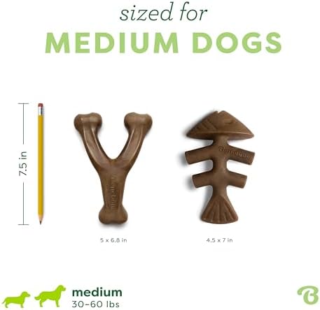 Benebone 2-pack Fishbone/Wishbone Durable Dog Chew Toys, Dog Bones, Medium