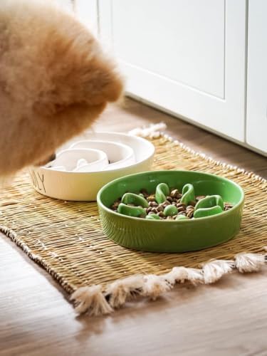 LE TAUCI Ceramic Slow Feeder Dog Bowls Small Breed, 0.6 Cups Dog Food Dish for Fast Eaters, Puzzle Bowl for Small Dogs and Cats,Pink+Green
