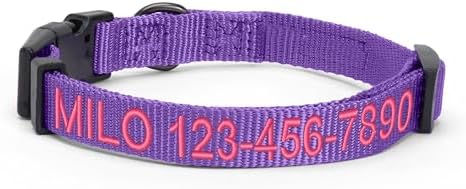Pawtitas Personalized Large Dog Collar - Embroidered with Name & Phone Number - Adjustable, Customized Collar for Large Dogs & Puppies - Purple