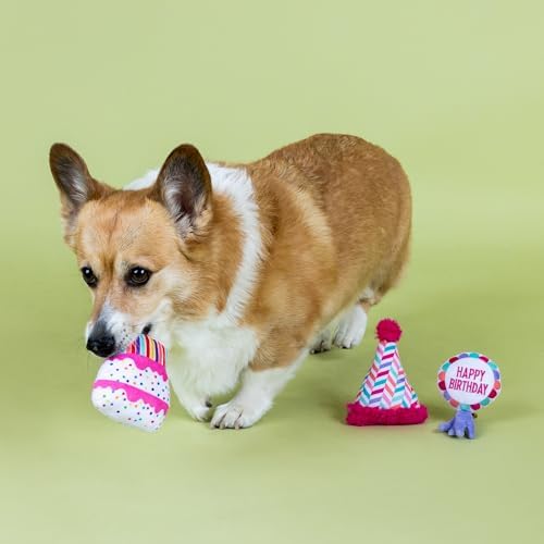 Fringe Studio CAN I GET A WOOF-WOOF!, Small Plush Dog Toy 3PCS Set, PetShop Collection (662056)