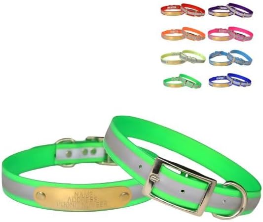 Reflective Dayglo Dog Collar Free Engraved Brass ID tag USA (Neon Green 19")