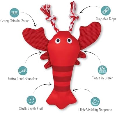 Fringe Studio Floating Dog Toy with Rope Feeling Claw-Some, Pet Shop Collection (640027)