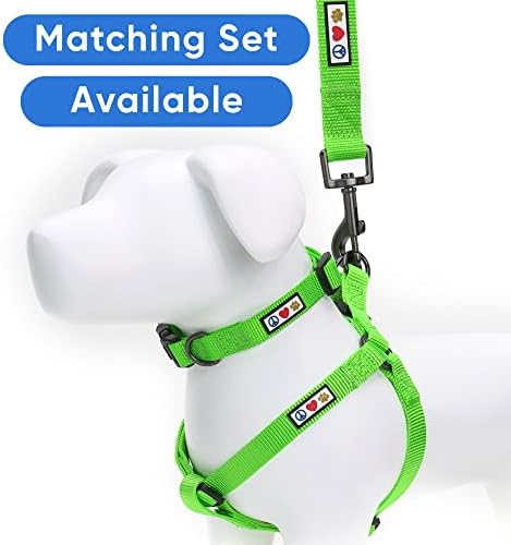 Pawtitas Solid 6 ft Green Dog Leash XXS/Cat Custom Name and Phone Embroidery Strong Nylon Leash for Small Breeds