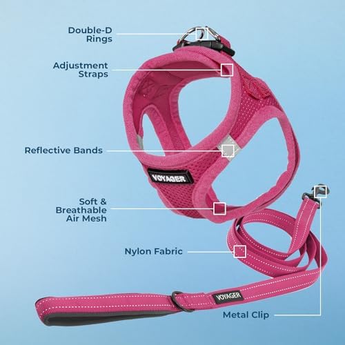 Best Pet Supplies Voyager Step-in Air All Weather Mesh Harness and Reflective Dog 5ft Leash Combo with Neoprene Handle, for Small, Medium and Large Breed Puppies - Fuchsia, Large