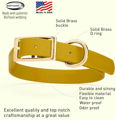 Viper Biothane Heavy Duty Waterproof Dog Collar Strong Coated Nylon Webbing w/Solid Brass Hardware Odor-Proof Easy to Clean High Performance Fits Small Medium or Large Dogs, Treasure Gold