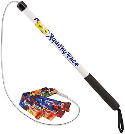 Squishy Face Studio Flirt Pole V2 with Lure - Durable Dog Toy for Fun Obedience Training & Exercise, Rainbow Tie Dye, Jr. - 24 inch