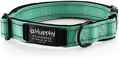 Improved - Personalized Dog Collars w/Engraved Metal ID Nameplate for Name & 3 Lines Text - Custom 20 Icons, 4 Adjustable Sizes, 10 Fonts - Dog Collar for Large Dogs, Dog ID Tag Personalized - Teal