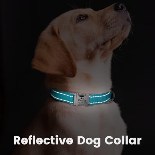 Silent Dog Collar Personalized with Name Phone Number Laser Engraved