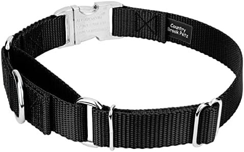 Country Brook Petz - Martingale Dog Collar - Heavy Duty Nylon Adjustable Martingale Dog Collar with Metal Buckle for Small Medium Large Breeds - 30+ Color Options (1 Inch, Large, Black)