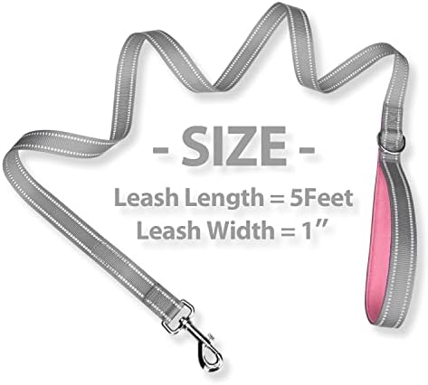 PHOEPET 5 Feet Dog Leash - Dual-Side Reflective - Soft Padded Handle