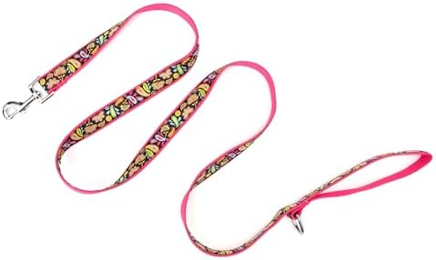 THE WORTHY DOG Fun Patterns Stylish Dog Leash, 5ft Length, Floral Paisley