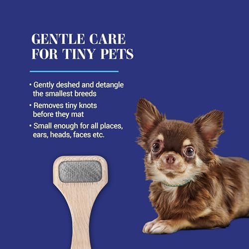 Chris Christensen Mark X Tiny Slicker Brush for Dogs, 12mm Pins, Groom Like a Pro, Handcrafted Lightweight Beechwood Ergonomic Handle, Stainless Steel Pins, A5X, XX-Small. Made in Germany.