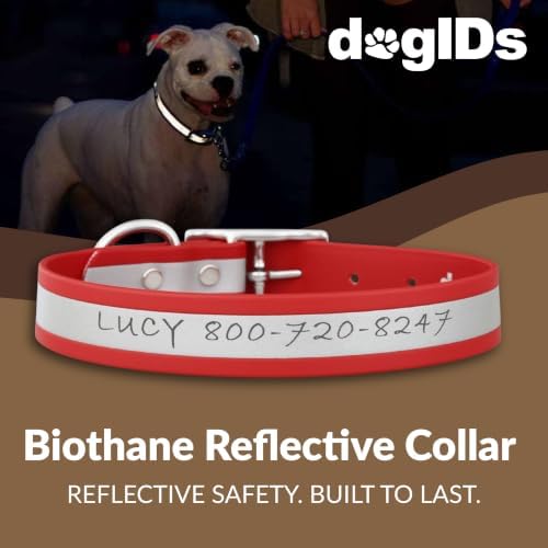 dogIDs Personalized Reflective Waterproof Dog Collar - Custom, Durable, Adjustable, Odor Resistant, Safe, Engraved - Red, 1 in x 16 in (Fits Neck Sizes: 14-18 in)