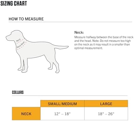 Carhartt Fully Adjustable Nylon Webbing Collars for Dogs, Reflective Stitching for Visibility, Black (Nylon Webbing), Medium