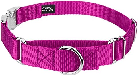 Country Brook Petz - Martingale Dog Collar - Heavy Duty Nylon Adjustable Martingale Dog Collar with Metal Buckle for Small Medium Large Breeds - 30+ Color Options (1 Inch, Medium, Fuchsia)
