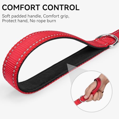 Joytale Reflective Dog Leash for Small Dogs, 6 FT x 3/4", Red