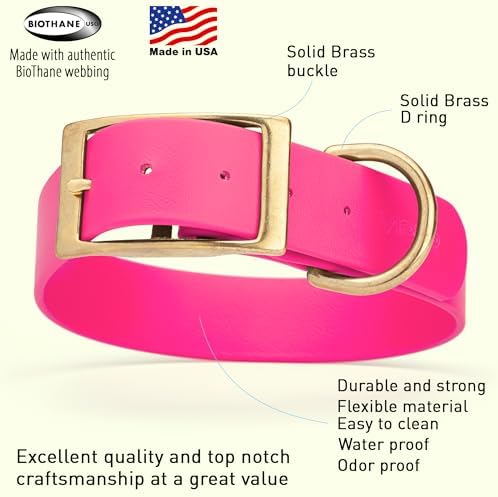 Viper Biothane Heavy Duty Waterproof Dog Collar Strong Coated Nylon Webbing w/Solid Brass Hardware Odor-Proof Easy to Clean High Performance Fits Small Medium or Large Dogs, Passionfruit Pink
