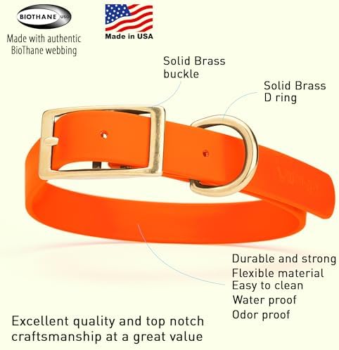 Viper Biothane Heavy Duty Waterproof Dog Collar Strong Coated Nylon Webbing w/Solid Brass Hardware Odor-Proof Easy to Clean High Performance Fits Small Medium or Large Dogs, Hunter Orange