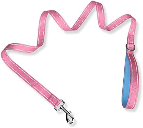 PHOEPET 5 Feet Dog Leash - Dual-Side Reflective - Soft Padded Handle