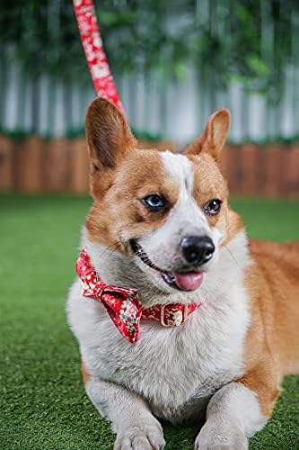 Custom Dog Collar with Names and Phone Number Engraved, Puppy Tags Personalized for Small Medium Large Pets