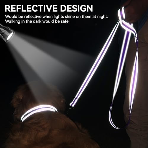 Joytale Reflective Dog Leash for Small Dogs, 4 FT x 3/4", Purple