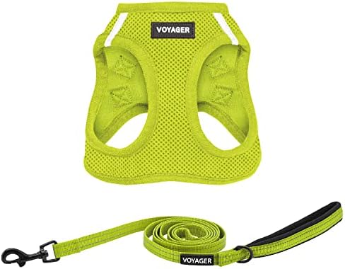 Best Pet Supplies Voyager Step-in Air All Weather Mesh Harness and Reflective Dog 5ft Leash Combo with Neoprene Handle, for Small, Medium and Large Breed Puppies - Lime Green, XX-Small