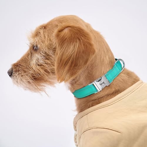 Silent Dog Collar Personalized with Name Phone Number Laser Engraved