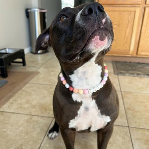 Personalized Beaded Dog Collar with Buckle,Custom Dog's Name Collar,Dog Cat ID Collar,Heart Beaded Cat Dog Collar,Custom Pet Necklace