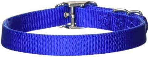 Hamilton Heavy Duty Nylon Buckle Dog Collar, 1" x 32", Blue