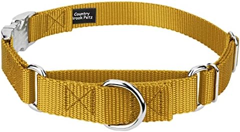 Country Brook Petz - Martingale Dog Collar - Heavy Duty Nylon Adjustable Martingale Dog Collar with Metal Buckle for Small Medium Large Breeds - 30+ Color Options (3/4 Inch, Small, Gold)