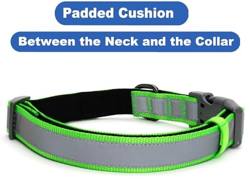 Pawtitas Personalized Dog Collar Reflective Dog Collar Padded Dog Collar with Name Phone Number Puppy Collar Adjustable Customized Collar for Small Dogs Breeds | Customized Green Small Dog Collar