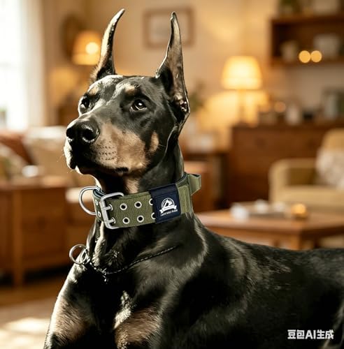 4-Layer Nylon Dog Collar,Heavy Duty for Large Dogs,Army Green XL