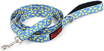 BULLHUG 6 FT Bulldog Leash with Padded Handle. Perfect for Bulldogs, French Bulldogs, Pugs & All Breeds. Leashes for Walking, Training Lead for Bulldogs (Sky-Duck)