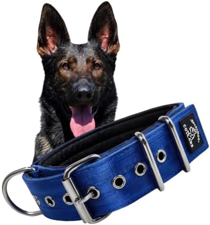 SparkDog 2" Padded Working Dog Collar (Blue, 2" Padded (16-21" Neck)