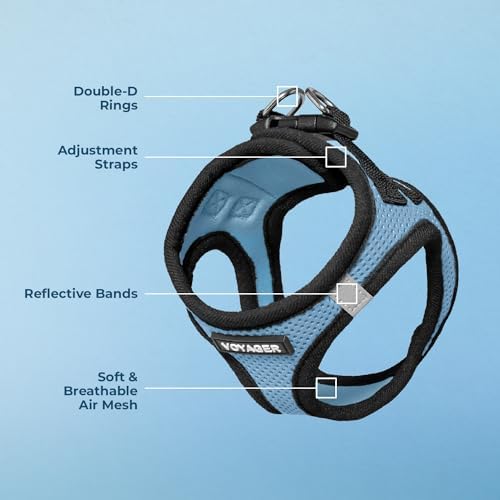 Voyager Step-in Air Dog Vest Harness - Baby Blue/Black Trim, X-Large