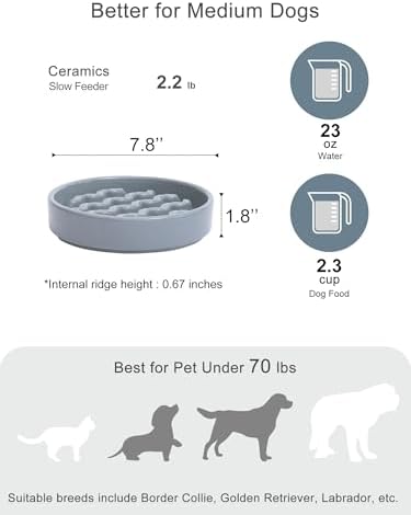Ceramic Slow Feeder Dog Bowl, Ice Blue, Medium