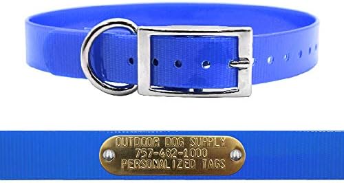 Heavy Duty Waterproof D-Ring Dog Collar w Custom Name Tag, Light Blue 21"