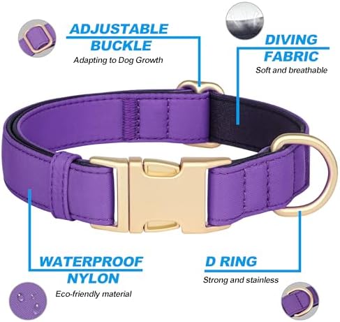 Didog Soft Padded Dog Collar for Large Dogs, Purple, L Neck 16-22"