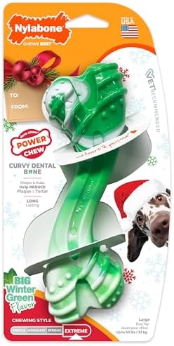 Nylabone Power Chew Holiday Curvy Dental Bone Dog Chew Toy, Large