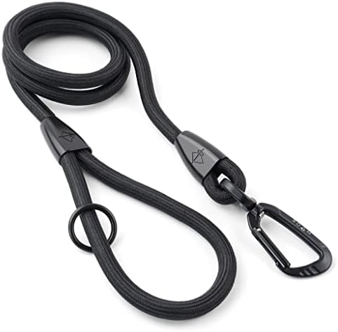 MADE TO ROAM Premium Everyday Leash - Ultra Soft Dog Leash with Aviation Aluminum Carabiner for Small, Medium, Large Dogs - New York Afterlight, 6ft (Rubber Coated Metal Clamps)