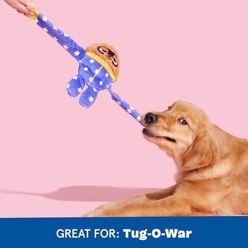 BarkBox Slow Jams Dan Dog Toy - for Dogs