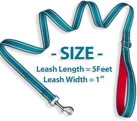 PHOEPET 5 Feet Dog Leash with Comfortable Padded Handle Easy Snap Clasp