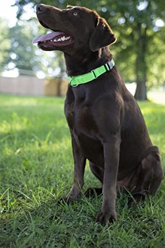Martingale Dog Collar - Heavy Duty Nylon Adjustable Martingale Dog Collar with Plastic Buckle for Small Medium Large Breeds - 30+ Colors (1 Inch, Medium, Hot Lime Green)